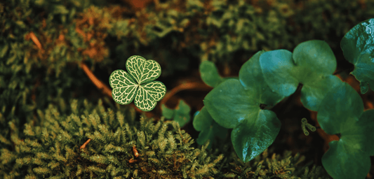 Why You Should Celebrate St. Patrick's Day - A Conversation from GoodKind - GoodKind