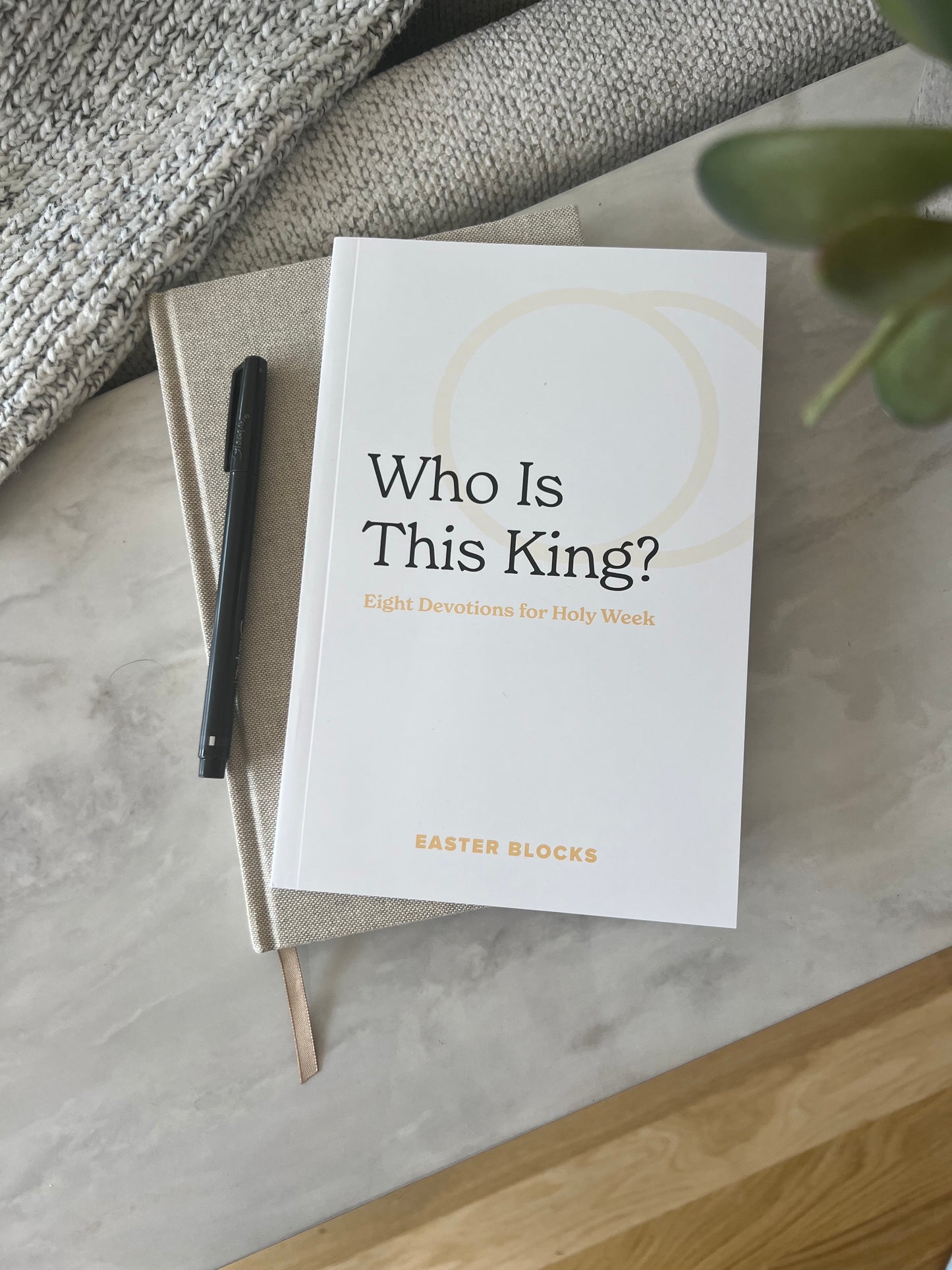 Who Is This King? - Adult Devotional Guide