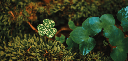 Why You Should Celebrate St. Patrick's Day - A Conversation from GoodKind - GoodKind